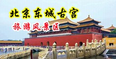 欧洲亚洲女人展示B尻的鉴図图视频吧中国北京-东城古宫旅游风景区